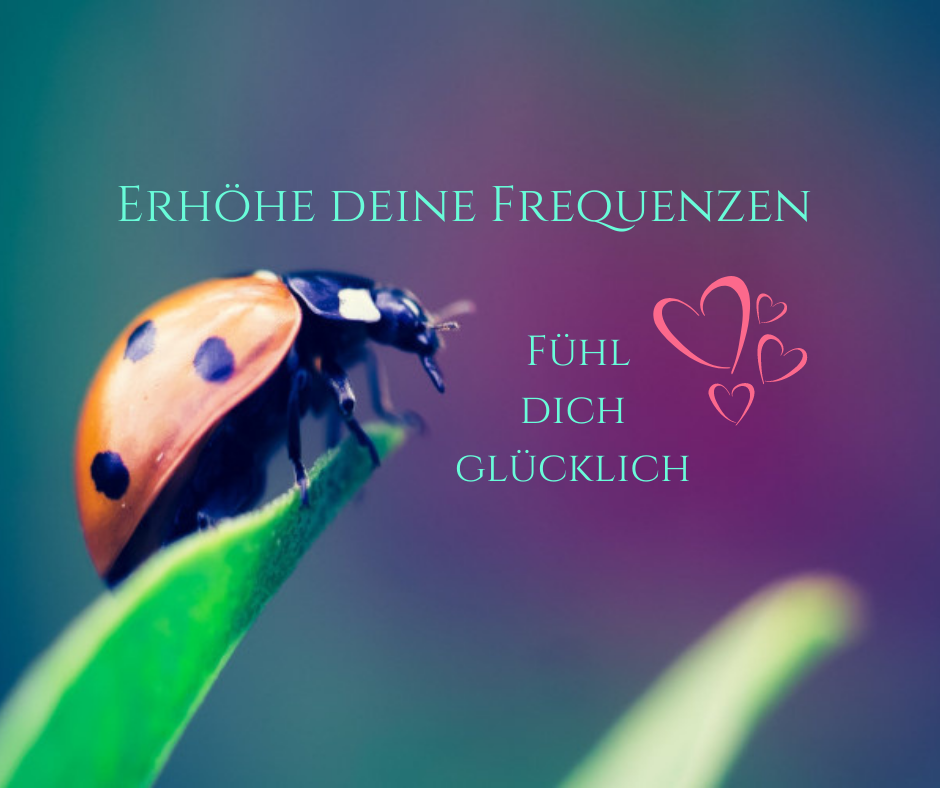 Impulse zum Wohlfühlen